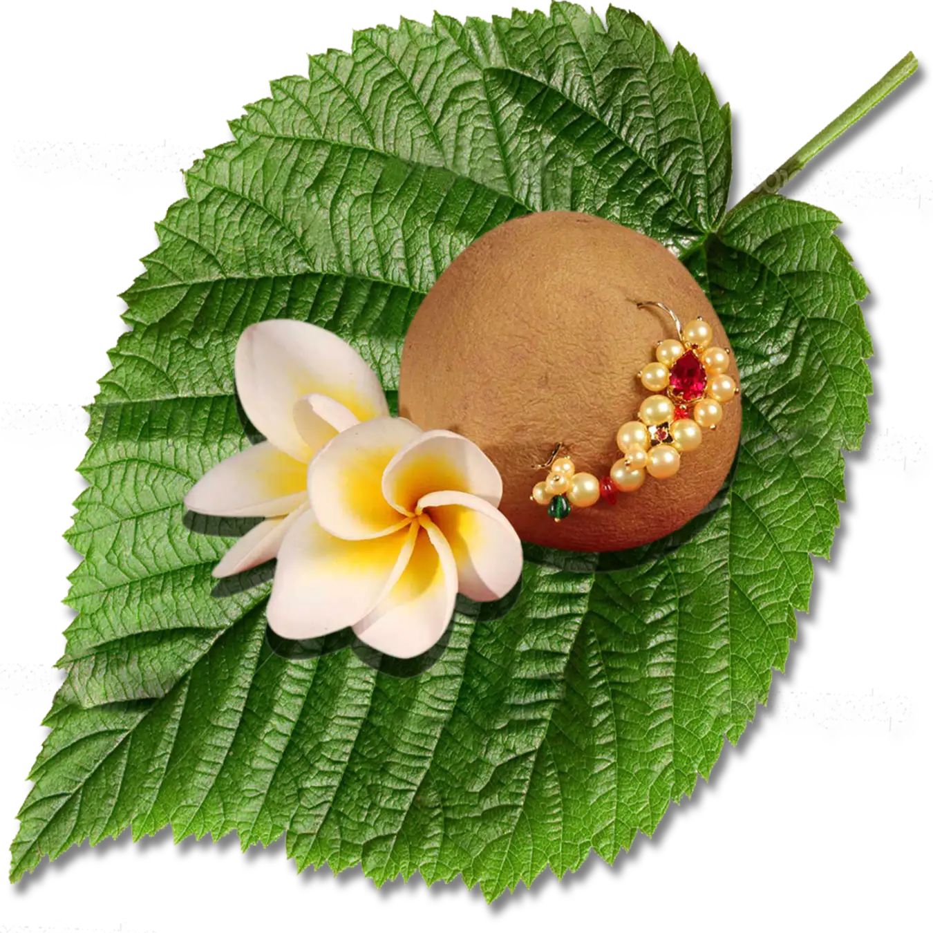 Traditional wedding coconut PNG with green leaf, white flower, decorative jewelry, auspicious Indian ritual element, HD transparent design.